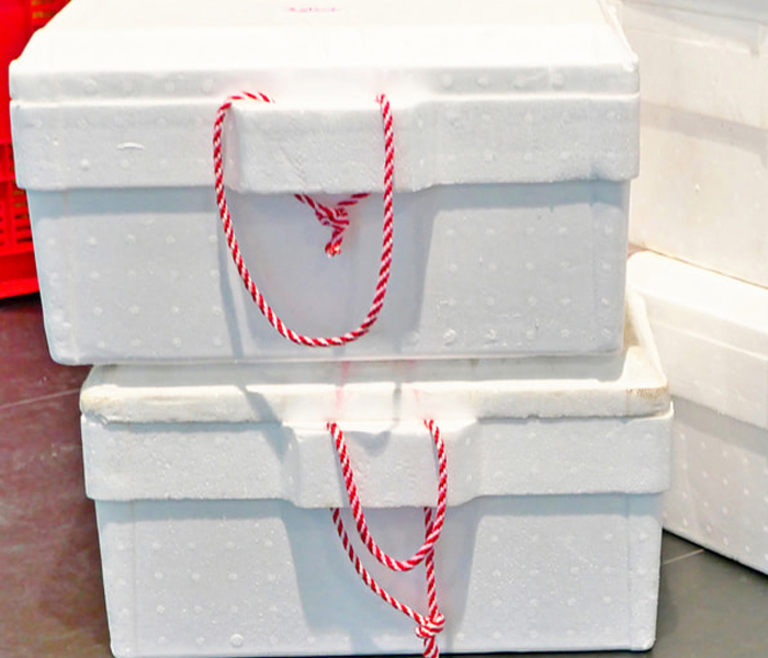 Insulated packaging protects sensitive cargo during climate-controlled air shipping